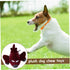 Interactive Airplane Squeaky Dog Toy - Fun Chew Toy for Pets