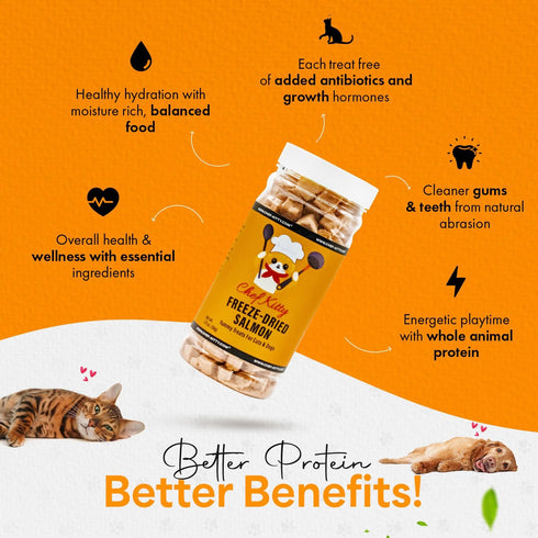 100% 1.4 oz Freeze Dried Salmon Cat Treats | Wild Caught Salmon Dog Treats, Grain- Free | High Protein, Single