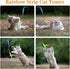 Cat Wand Interactive Toy, 5 Sets Colorful Fabric Ribbon Sticks for Indoor Play, Pet Toys for Kittens