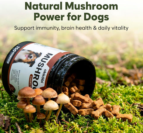 5-in-1 Immune Premium Mushroom Chews for Dogs - Turkey Tail, Lions Mane, Chaga, Reishi & Shiitake - Support & Cognitive