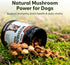 5-in-1 Immune Premium Mushroom Chews for Dogs - Turkey Tail, Lions Mane, Chaga, Reishi & Shiitake - Support & Cognitive