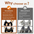 Mot Ycse Hammock Professional Dog Grooming Arm Kit with Adjustable & No-Sit Haunch Restraints All-in-One Solution