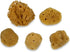 Hermit Crab Real Sea Sponges, 5 Pack Unbleached for Nutrients and Habitat Tank Humidity