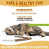 Silvervine Sticks for Cats, Natural Catnip Matatabi Chew Sticks, Teeth Molar Chew Toys for Cat Kitten (25 PCS)