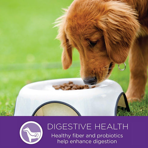 Wellness Complete Health Small Breed Dry Dog Food with Grains, Natural Ingredients, 4-Pound Bag, Turkey & Oatmeal