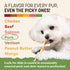 40 Count Pack Earth Animal No Hide Stix - Long Lasting Rawhide Free Small Dog Chews Sticks, Pork - Extra Value