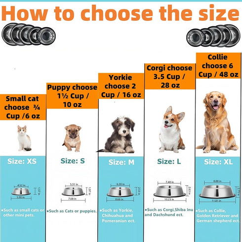 2 Pack Stainless Steel Dog Bowls - Anti-Slip Heavy Duty Premium Quality Feeder Bowls for Dogs and Cats (¾Cup / 6oz)