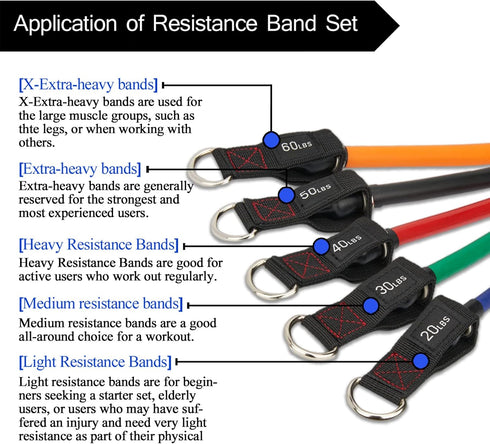 TheFitLife Exercise Resistance Bands with Handles, 5 Fitness Workout Bands, Stackable up to 300 lbs, Training Tubes