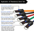 TheFitLife Exercise Resistance Bands with Handles, 5 Fitness Workout Bands, Stackable up to 300 lbs, Training Tubes