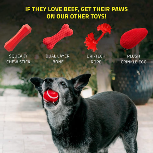 Playology Squeaky Chew Ball for Dogs, All Natural Beef Scented Toy for Medium & Large Dogs, Value 2-Pack