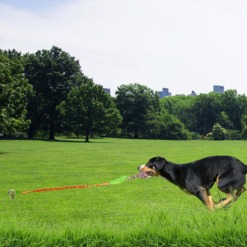 Outdoor Dog Toy with Stake - Interactive Tug of War Ball for Large Breed Aggressive Chewers