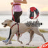 EzyDog Premium Chest Plate No-Pull Padded Comfort Dog Harness for Training and Walking (X-Small, Denim)
