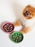 LE TAUCI Ceramic Slow Feeder Dog Bowls for Small Breed, 0.6 Cups Dog Food Dish for Fast Eaters, Green