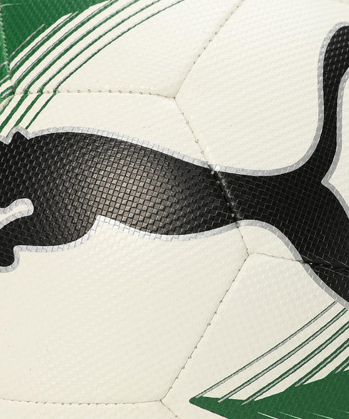 3 4 (8431801) PUMA Unisex-Adult Futsal MS IND, White-Dark Green
