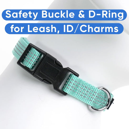 Pawtitas Reflective Dog Collar - Adjustable for Small Dogs, Puppy Collar - Teal