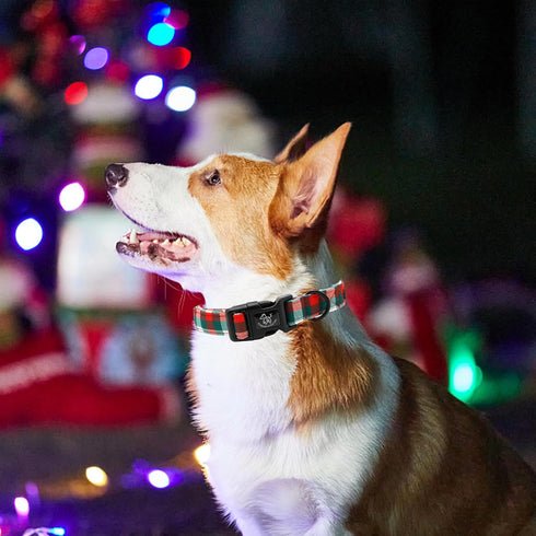 Elegant Christmas Dog Collar, Red Plaid Adjustable Collar for Medium Dogs, Holiday Gift for Pets