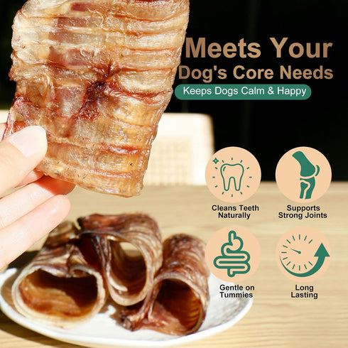 Dexudo 6 Inch (6 8 oz) Beef Trachea Dog Chews pcs - - Trachea Dog Treats,Digestible and Safe Chews for Dogs - Natural