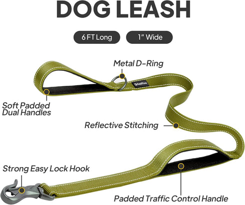 PetiFine 6FT Heavy Duty Dog Leash with Soft Padded Double Handle, Durable Strong Clasp Dog Leashes, Reflective Nylon Walking Lead for Large,Medium,Small Breed Dogs, Green