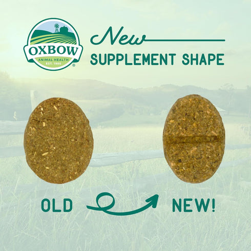4.2 oz Oxbow Natural Science Digestive Support, High Fiber Supplement for Rabbit & Guinea Pig, Made with Timothy Hay