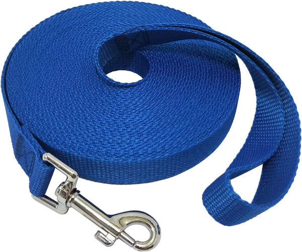 Nylon Training Dog Leash for Small Medium Large Dogs, 30ft Long Leash for Obedience Recall Training, Blue