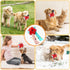 Dog Snuffle Ball - Interactive Puzzle Dog Toys, Slow Feeder for Training and Stress Relief, Cloth Strip Hiding Food