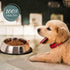 Stainless Steel Slanted Dog Bowl, 2 Pack, Removable Non-Slip Rubber Ring, Stackable Pet Bowls, Medium-2.5Cup