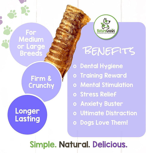 Nature Gnaws Beef Trachea for Dogs - Premium Natural Beef Bones, Rawhide Free, 6 Count Crunchy Chew Treats