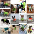 CHBORCHICEN Small Dog Sweaters, Knitted Pet Cat Warm Sweatshirt for Winter (Small, Light Green)