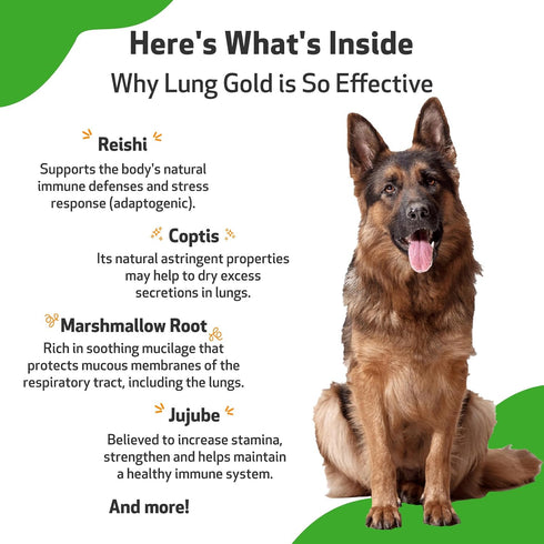 Pet Wellbeing Lung Gold for Dogs, Vet-Formulated Immune Support, 2 oz