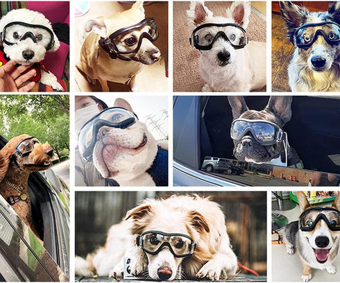 Nacoco Dog Sunglasses Anti-UV Waterproof Goggles for Big Dogs like Golden Retriever and Samoyed