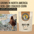 8 lbs 7.5% Scratch and Peck Cracked Corn Chicken, Duck and Livestock Supplemental Grain - Bag - Protein, Certified