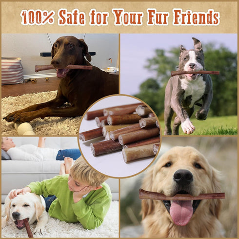 AZRAPAWS 12" 5 Count Standard Bully Sticks for Small, Medium and Large Dogs, Natural Beef Dog Chews Long Lasting, Dog