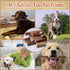 AZRAPAWS 12" 5 Count Standard Bully Sticks for Small, Medium and Large Dogs, Natural Beef Dog Chews Long Lasting, Dog