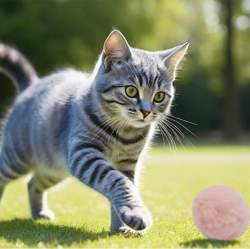DJRDym 20 Pack 1.8 Inch Interactive Pet Play Pompoms - Soft, Non-Toxic Toy Balls for Cats & Dogs, Lightweight Balls
