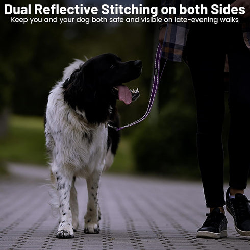 Short Traffic Dog Leash 2 ft, Reflective Nylon Lead with Padded Handle for Large and Medium Dogs, Purple