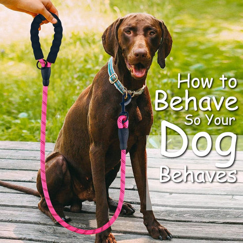 2 Pack Dog Leash 5 FT Thick Durable Nylon Rope - Comfortable Padded Handle Reflective Rope Dog Leash for Medium Large Dogs with Collapsible Pet Bowl and Garbage Bags (Black+Pink, 1/3" x 5 FT)