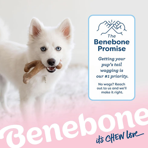 Benebone Puppy Wishbone Durable Chew Toy for Gentle Chewers, Real Bacon Flavor, Made in USA, Medium Size