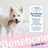 Benebone Puppy Wishbone Durable Chew Toy for Gentle Chewers, Real Bacon Flavor, Made in USA, Medium Size