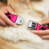 Buckle-Down Seatbelt Buckle Dog Collar - Bat Signal-3 Fuchsia/Black/Fuchsia - 1.5" Wide, Fits 16-23" Neck, Medium