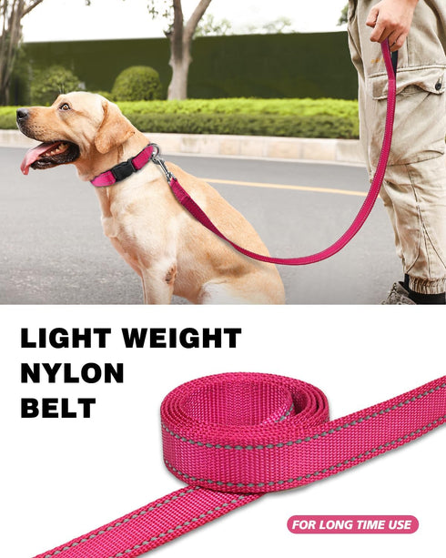 6ft Dog Leash for Small Medium Large Dogs - One-Sided Reflective Nylon with Padded Handle - Hot Pink