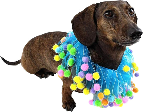 Midlee Blue Birthday Pom Pom Dog Collar (Small)