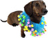 Midlee Blue Birthday Pom Pom Dog Collar (Small)