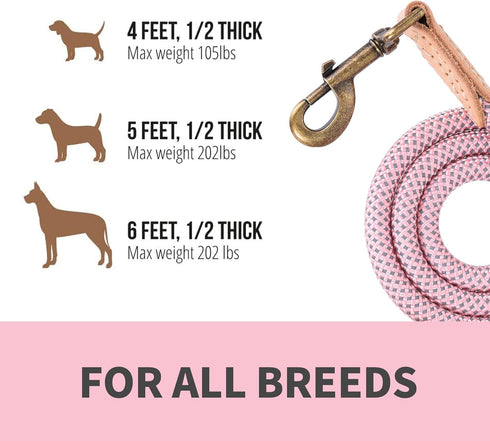 Mile High Life Reflective Dog Leash, Strong Nylon Heavy Duty Training Leash for Small Medium Large Dogs with Leather