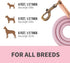 Mile High Life Reflective Dog Leash, Strong Nylon Heavy Duty Training Leash for Small Medium Large Dogs with Leather
