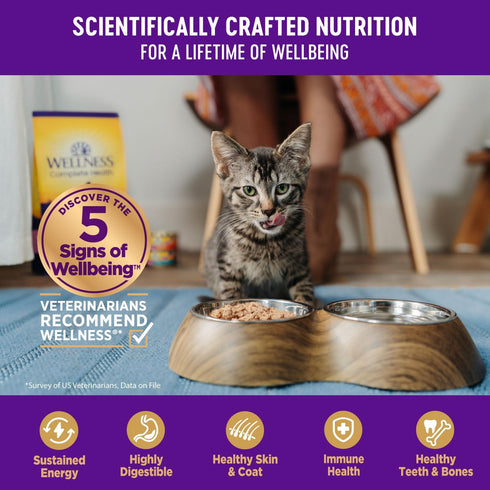 Wellness Complete Health Grain-Free Wet Canned Cat Food - Natural Ingredients, Real Meat, Smooth Pate, 3 oz, Pack of 24