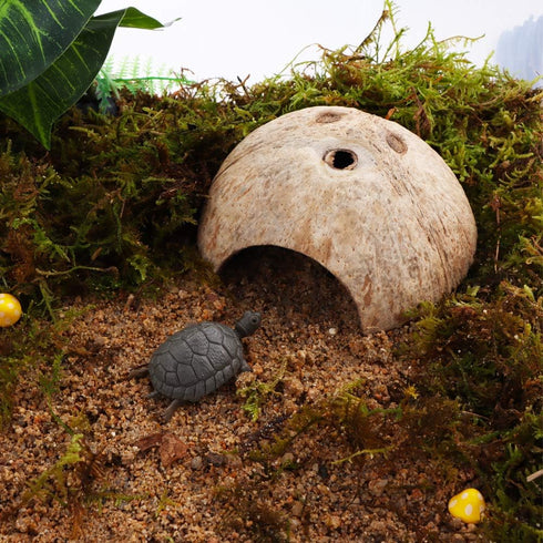 2 Pack Spider Coconut Shell Shelter, Hermit Crab Hideout, Lizard Hiding Cave, Fish Tank Decoration