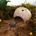 2 Pack Spider Coconut Shell Shelter, Hermit Crab Hideout, Lizard Hiding Cave, Fish Tank Decoration