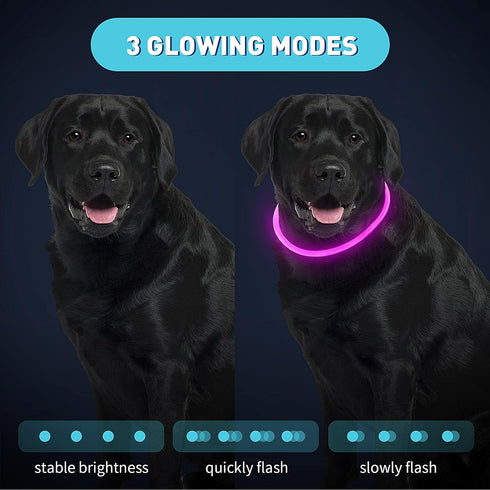 Frienda 4 Pieces Light Up Dog Collars, USB Rechargeable LED Collars for Night Walking, Adjustable for Small to Large