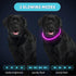 Frienda 4 Pieces Light Up Dog Collars, USB Rechargeable LED Collars for Night Walking, Adjustable for Small to Large
