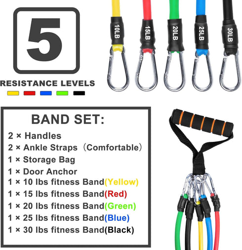 Resistance Bands Set (12pcs) - Workout Bands with Handles, Door Anchor, Ankle Straps, Carry Bag